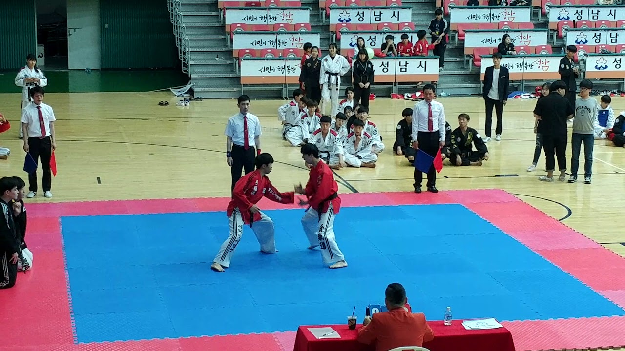 Hapkido championship in Seongnam Korea
