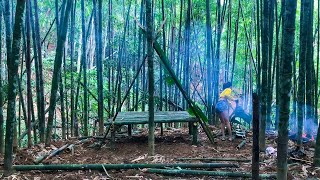 (Full video 4days)Girl who survived alone in the forest 3000m,4 days survival | MsYang Survival