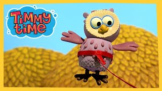 Timmy Learns to Fly | New Timmy Time