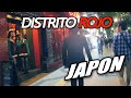 EL AREA MAS CACHONDA DE SAPPORO | JAPON JAPANISTIC+