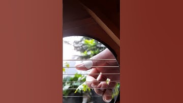 Thumbnail of Your gonna live forever in me #cover #fingerstyle
