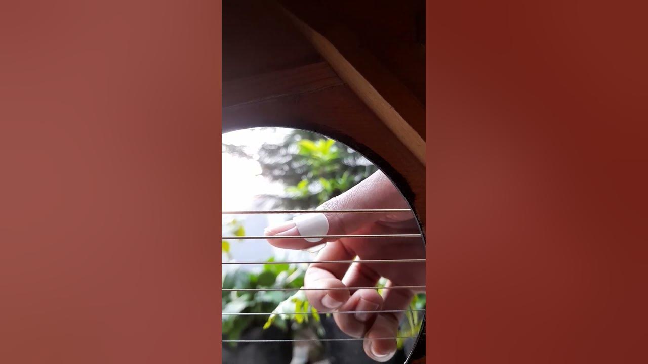 Your gonna live forever in me #cover #fingerstyle