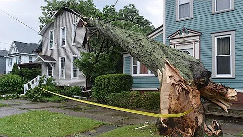 Dangerous Idiots Tree Felling Fails With Chainsaw, Big Tree Removal Fails Falling On Houses