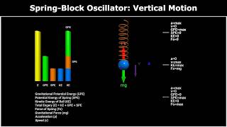 Simple Harmonic Motion (SHM): Vertical Spring-Block Oscillator Simulation | Forces, Motion & Energy