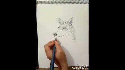 #Shorts #Scribble Art #Wild Animal.