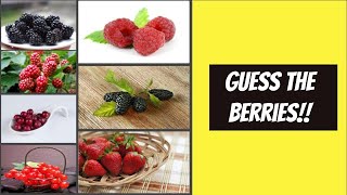Guess the Berries Quiz screenshot 5