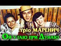 Тріо Маренич - Ой у гаю при Дунаю