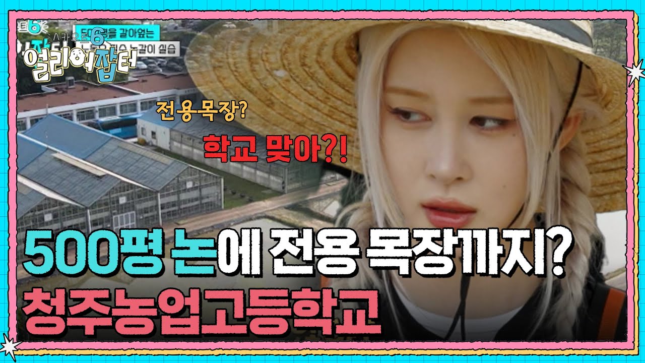 500평 논에 전용 목장까지? 청주농업고등학교 [스카우트 6 얼리어잡터] | KBS 250620 방송