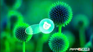 Pagal hoye jabo dj gol2