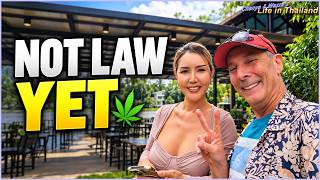 Thailand's New Cannabis Law? Not Yet. Here's What's Actually Happening