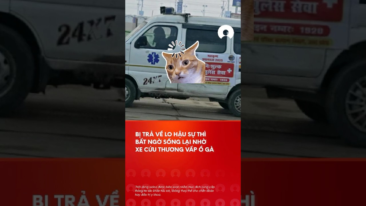 Bá»‹ bá»‡nh viá»‡n tráº£ vá», bá»‡nh nhÃ¢n áº¤n Äá»™ báº¥t ngá» "sá»‘ng láº¡i" nhá» xe cá»©u thÆ°Æ¡ng váº¥p á»• gÃ  #shorts #india