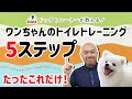 たった５ステップでできる犬のトイレトレーニング【ペットの専門店コジマ】