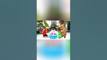 Capy cùng anh giúp bà tắm cho con gorillo watermellondrillo zombie và cái kết #capybara