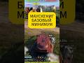 БАЗОВЫЙ БОЙ НА МАУСКЕНИГЕ #wot #worldoftanks #миртанков