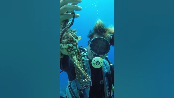 This Animal Has 3 Hearts and 9 Brains 😳