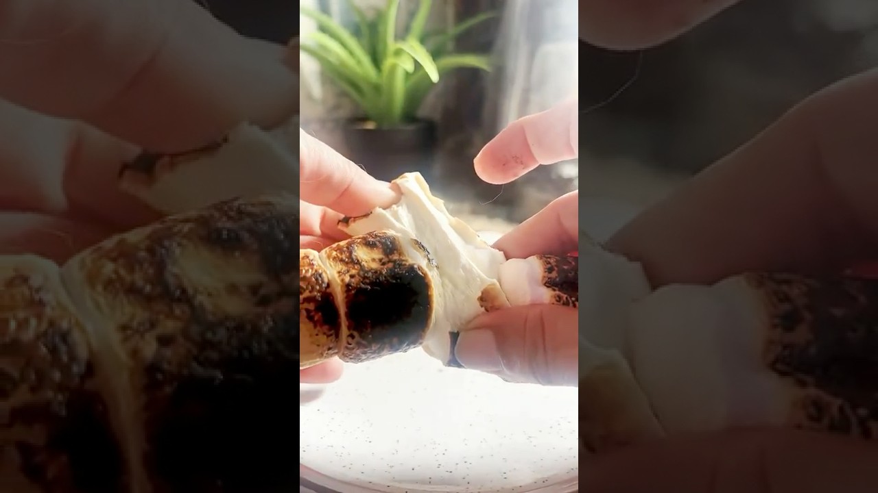 The Gooey 🍡 Marshmallow Roast You Need to Try 🔥”