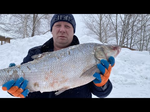 НАШЕ РОДНОЕ блюдо из рыбы🔝Судак волжанин🐟как приготовить‼️простой рецепт