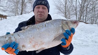 картинка: Судак волжанин 🐟 как приготовить рыбу в духовке простой рецепт