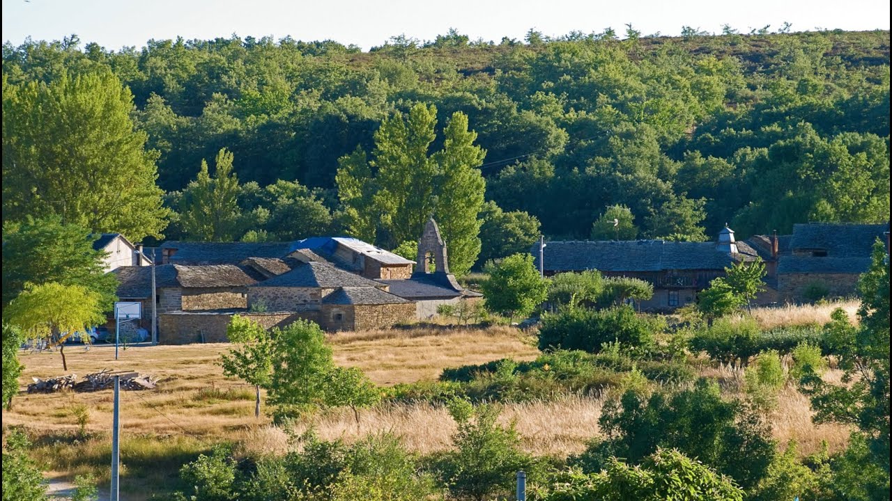 PUERCAS DE ALISTE_COMARCA DE ALISTE_ZAMORA