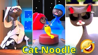 Cat Noodle and Bun. Cat Noodle TikTok Compilation