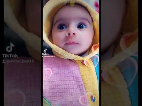ودوني على بيت حبيبي