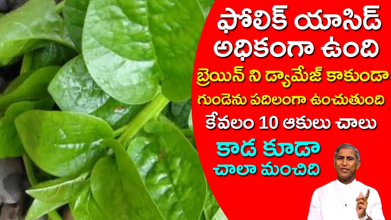 బ్రెయిన్ ని డ్యామేజ్❌ గుండెను పదిలం✅ కేవలం 10 ఆకులు చాలు | Dr Manthena Satyanarayana Raju Videos