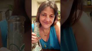 breathing exercises remix this challenge  boomer learning series