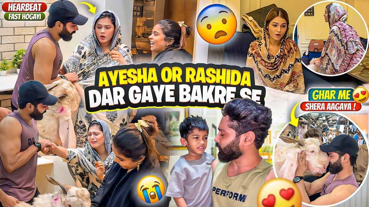 Ayesha Bhot Dar Gayi Bakre Se 😨| Rashida Or Ghar Walo Ki Khushi 😍| Fokats | Abresh & Zeeshan