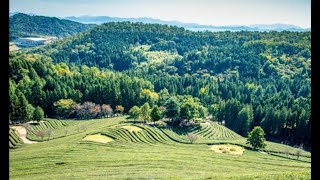 Green Valley 💚 | Lushy Paths | Close To The Nature | Biya's Creation screenshot 4