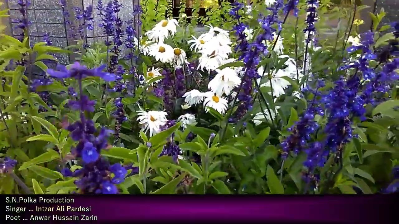 Intizar Ali Pardesi ... ghalay ghalay dasay rashay || Poet ... Anwar H. Zarin