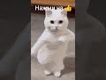 простите но видео пока не будут выходить но я делаю видео на ютуб дата: 2026 июня, 13 числа