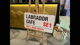 Dog Lovers Dream Event | Pop and Bark Labrador Event