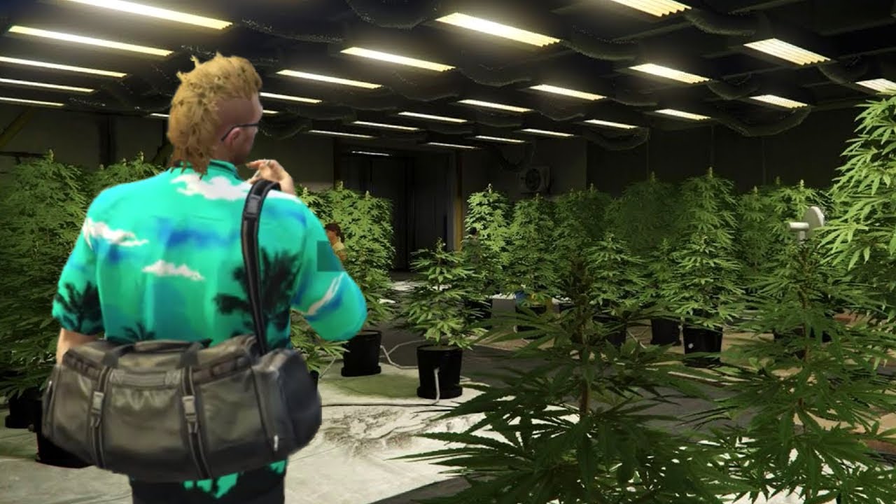 Collecting the weed on NoPixel...
