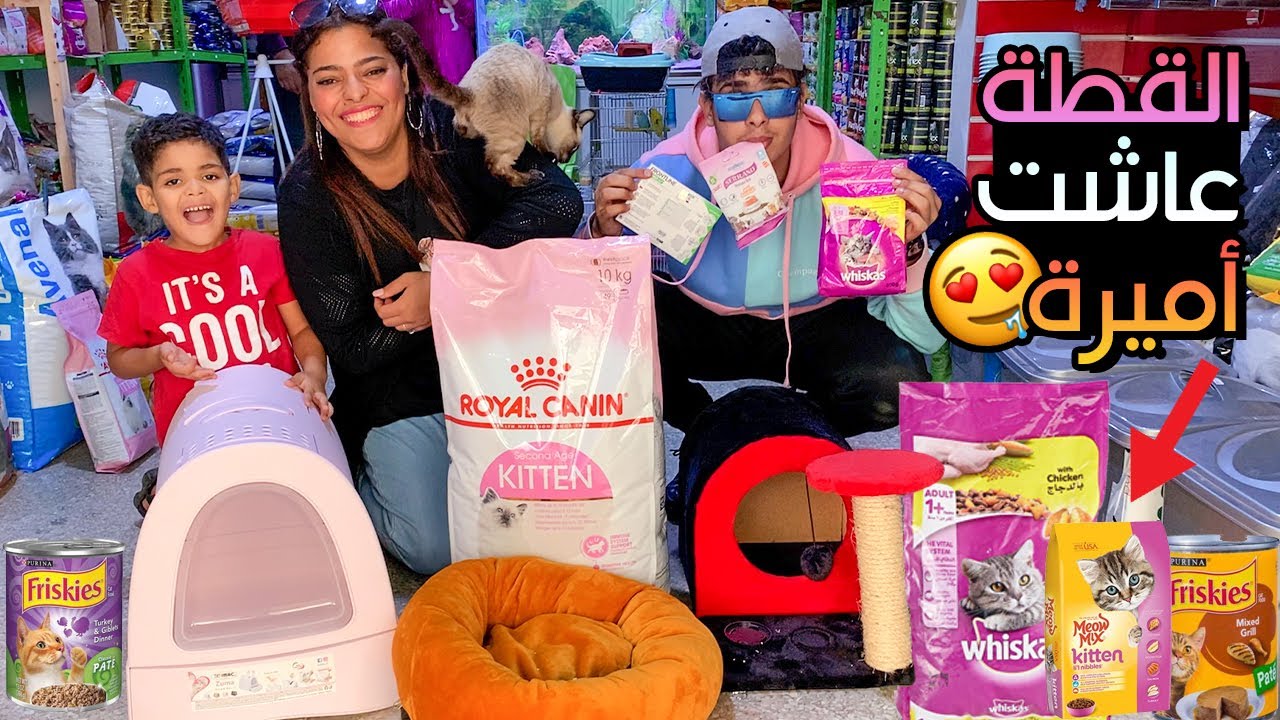 واخيرا خليت قطة زوجتي😻 تعيش اميرة ليوم كامل 🔥🎉