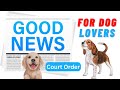 GOOD News - Bombay High Court decision regarding stray dog feeding