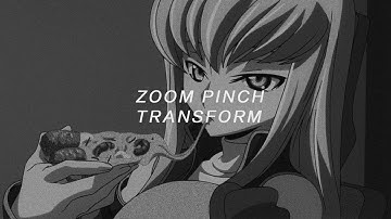 SVP TUTORIAL - ZOOM PINCH TRANSFORM