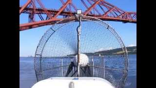 Hovercrafting on the Forth