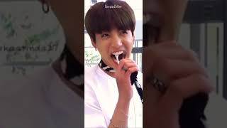 ?⭐Jungkook seriously took fan in his mouth ⭐?BangtanBeiber