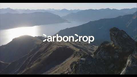 CarbonCrop | AI powered forest carbon solutions