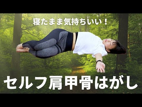 【寝たままできる】ガチガチの肩こりからくる頭痛を治す！セルフ肩甲骨はがし【超気持ちいい】