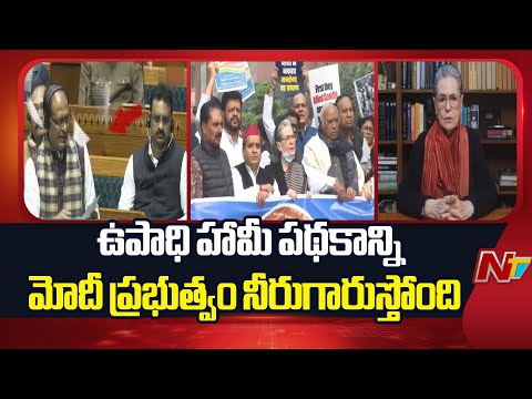 Sonia Gandhi Reacts on Mahatma Gandhi National Rural Employment Guarantee Act ( MGNREGA ) | NTV - NTVTELUGU