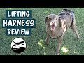 CareLift Full-body Lifting Harness aids Dogs with Mobility Issues