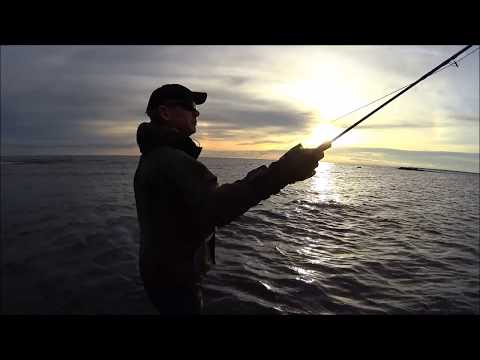 Video: Vad är Fisketaktiken?