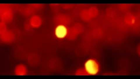 red and yellow lights Background Blur Bokeh Creative Video for Projects and Video Editing  7