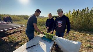 Collecting Biomass with Students | Plot Shots '25
