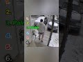 “Top 6 Slipping Moments That Will Make You Cry Laughing 😂”