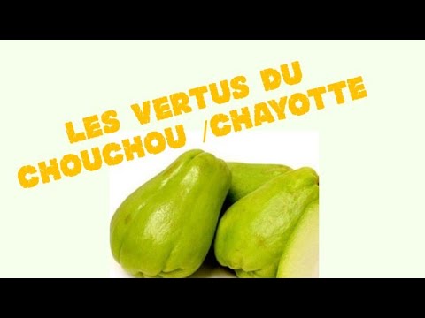 LES VERTUS DU CHOUCHOU / CHAYOTTE☺️..