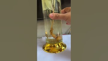 Củ sâm rừng khun há Lai Châu 40g vào bình 1,18l giá đi nhanh 2,5triệu