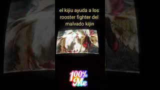 rooster fighter