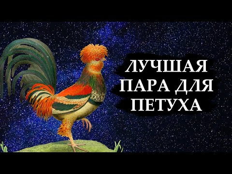 Совместимость знака Петух - лучшая и худшая пара